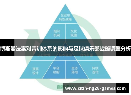 博斯曼法案对青训体系的影响与足球俱乐部战略调整分析