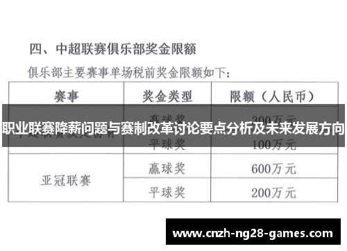 职业联赛降薪问题与赛制改革讨论要点分析及未来发展方向